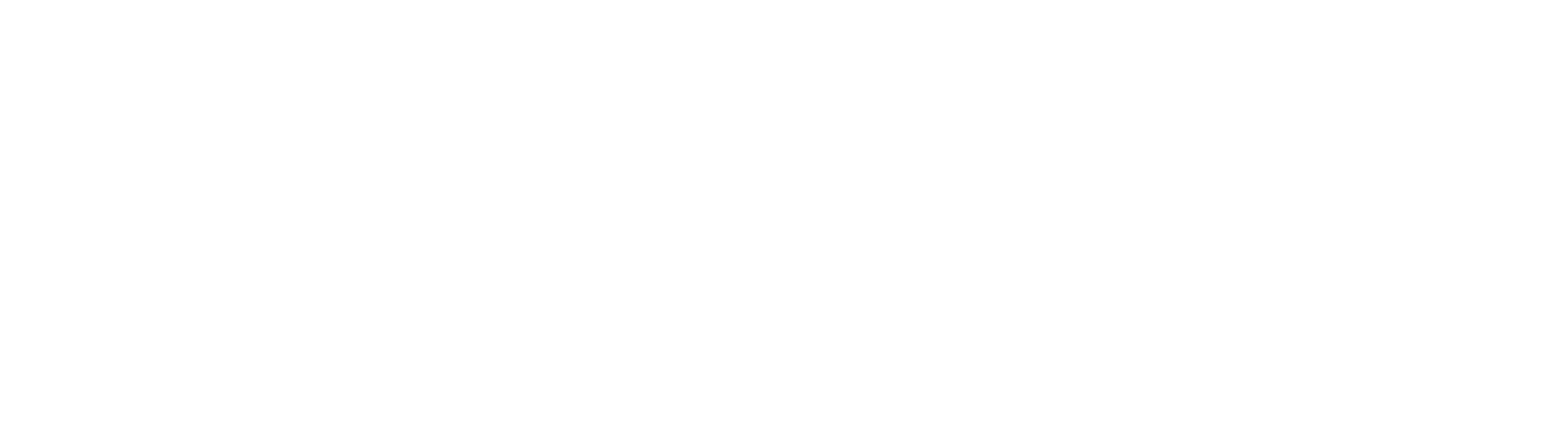 Alpha Hackers