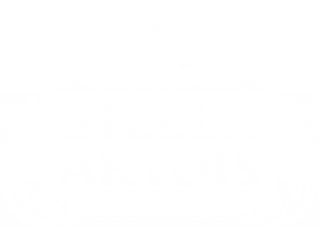 Stella Artois